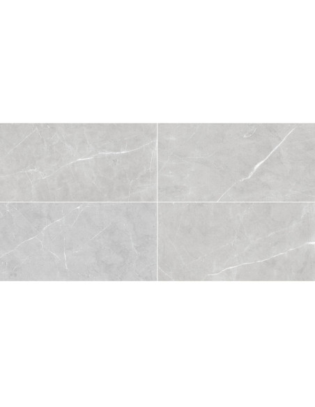 Soberano Grey 60 X 120